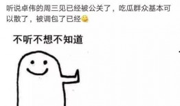 卓伟最新爆料李小璐视频,李小璐视频事件真相揭晓